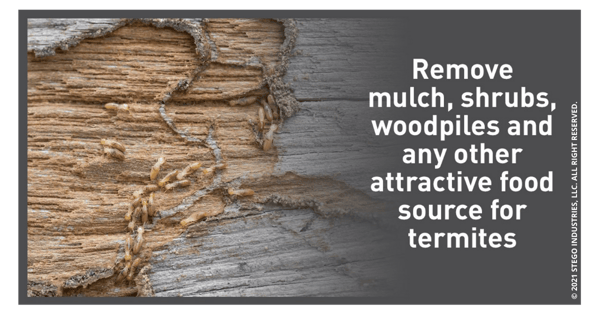 Remove-Mulch-Shrubs-Woodpiles-And-Any-Other-Food-Source-For-Termites