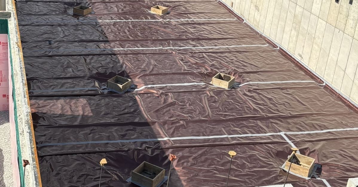 Drago-Project-Profile-Downers-Grove-1200x630px