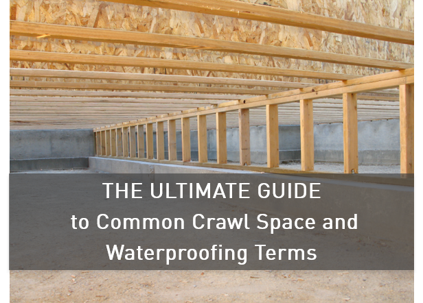 The_Ultimate_Guide_to_Common_Crawl_Space_and_Waterproofing_Terms.png