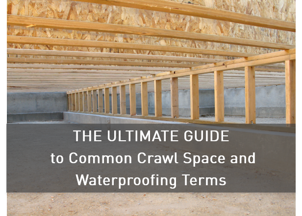 The_Ultimate_Guide_to_Common_Crawl_Space_and_Waterproofing_Terms.png