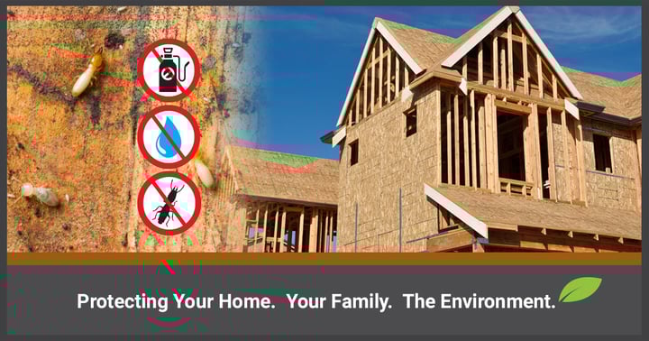 How-to-Protect-your-Dream-Home-from-Termite-Attack-1200x630