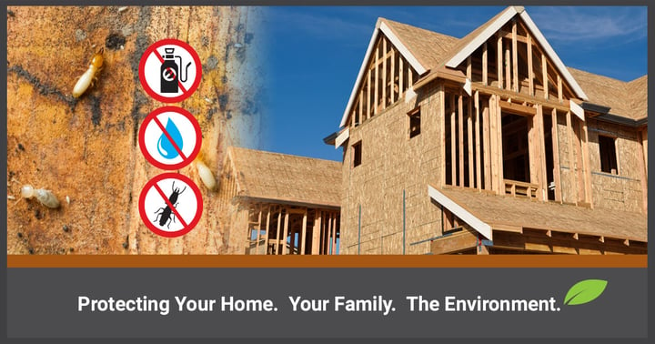 How-to-Protect-your-Dream-Home-from-Termite-Attack-1200x630