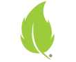 Drago-Green-leaf-logo