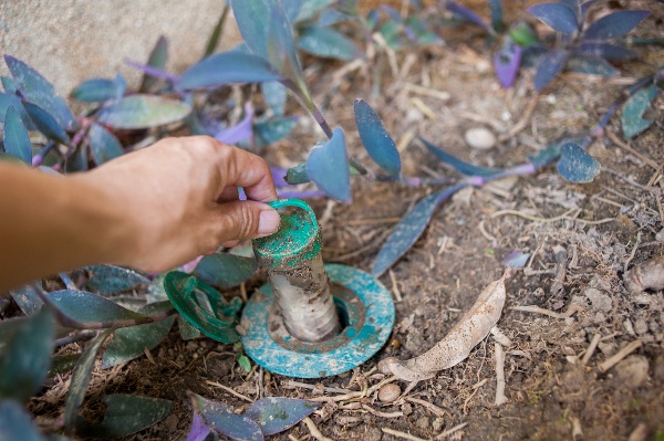 Termite-Bait-Stations-for-Perimeter-Treatment