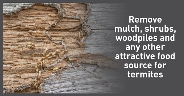 Remove-the-food-source-for-subterranean-termites