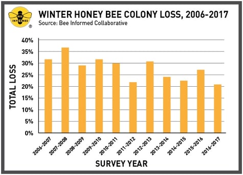 Winter-Honey-Bee-Colony-Loss-2006-2017.jpg