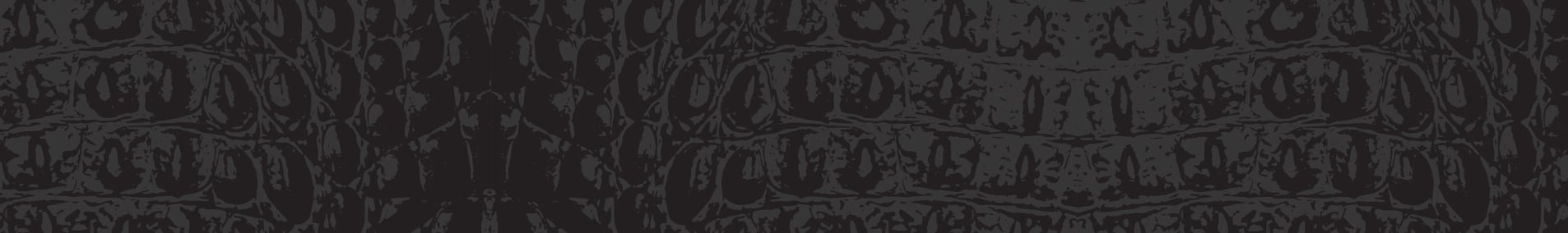 StegoSkin-LP-Asset-1906x284
