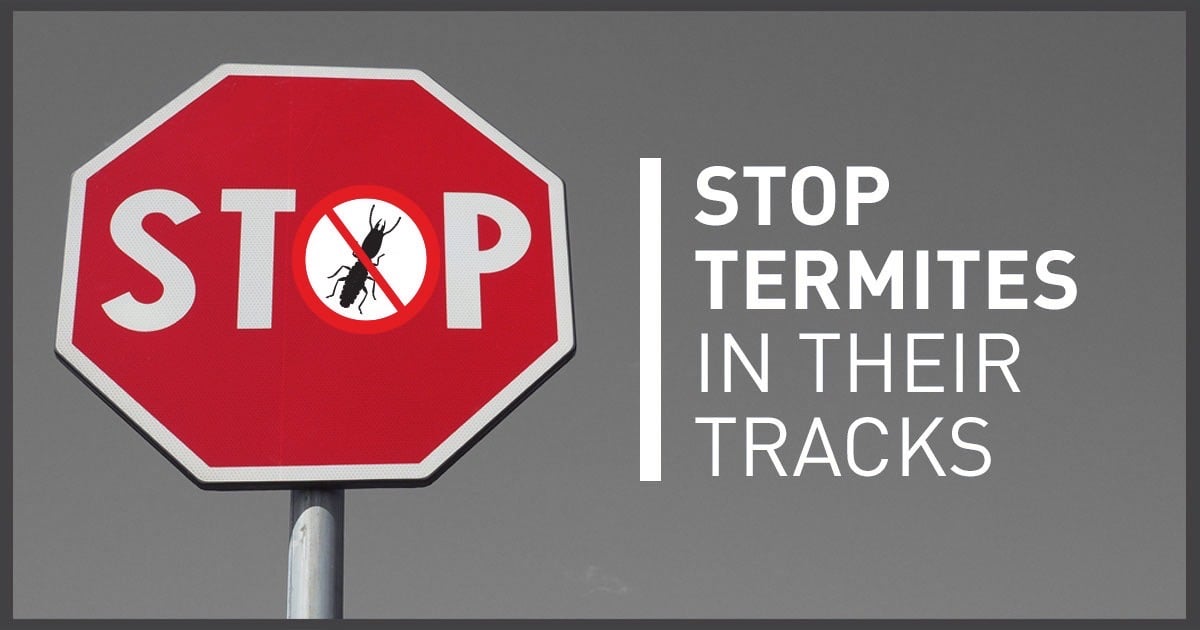 Stop Termites in Their Tracks with a Termite Barrier for Your Crawl Space