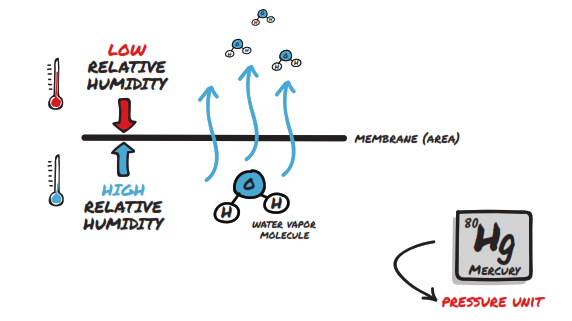 Water-Vapor-Diffusing-Across-A-Membrane