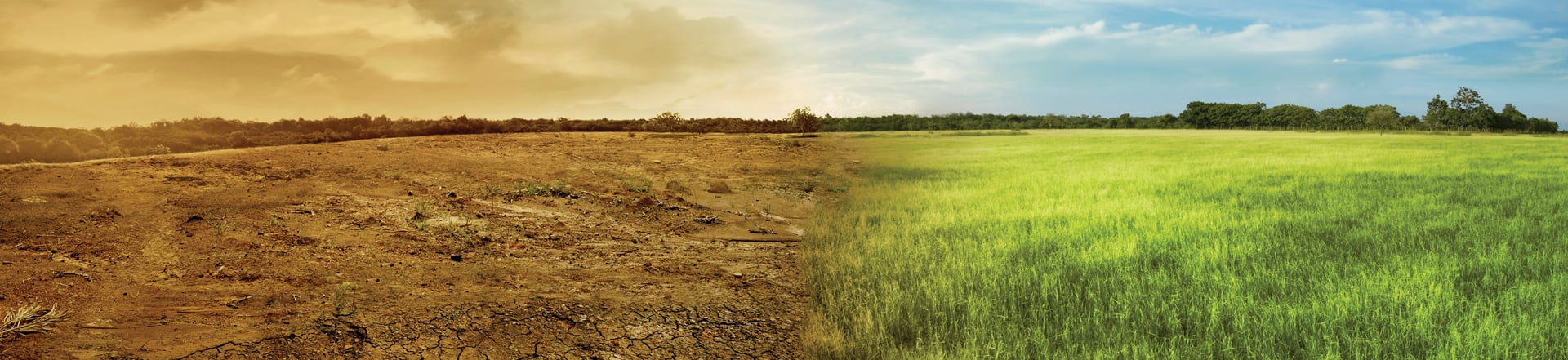 WebinarHeaderImg1920x441