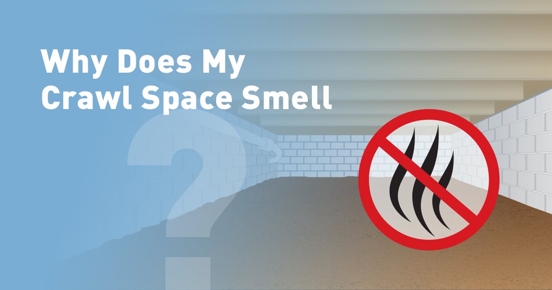 Why Does My Crawl Space Smell? Troubleshooting the Source of Odor