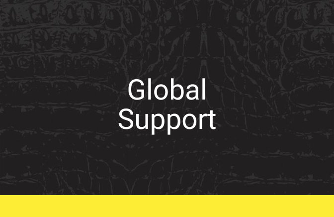 global-support-1