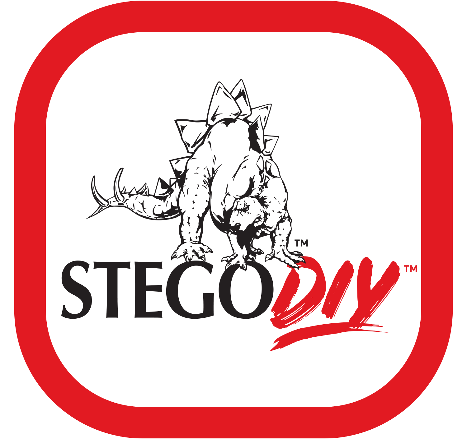 StegoDIY