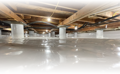 Family in living room protected with StegoCrawl beneath floor