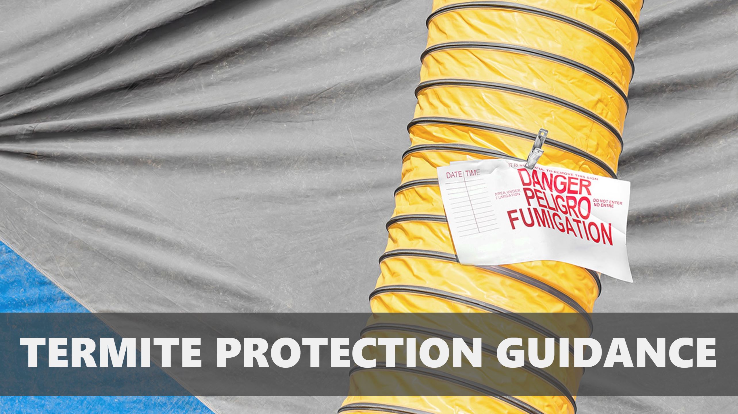 Termite Protection Guidance